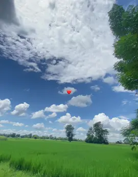 #fyp #foryou #viralvideo #support #naturelover 