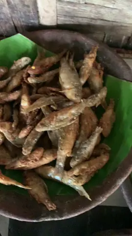 telur gulung kolestrol,ikan bakar ae😭🤣#fyyyyyyyyyyyyyyyy #gunungrowopati#kulinerpatisukses #warungpelangimbakharti #masukberandafyp 