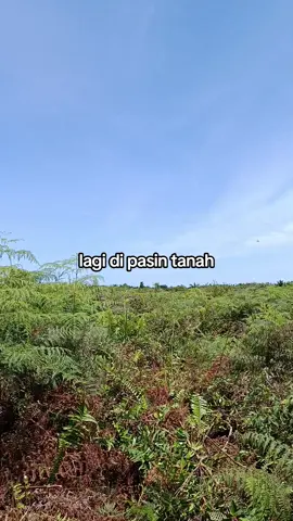#fyp 