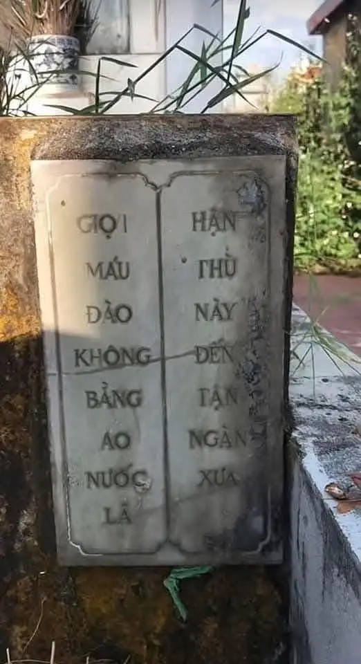 Di nguyện cuối cùng của người đã khuất khiến ta phải suy ngẫm. Khi còn bé, anh em thân thiết như tay chân, nhưng lớn lên, cuốn vào tiền bạc, gia đình, lại quay lưng với nhau. Cha mẹ mất rồi, anh em chỉ còn là người quen cũ. Liệu có ai hối tiếc thời thơ ấu, khi chúng ta còn là một gia đình thật sự ?