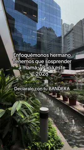 #foyoupage #jovenesemprendedores #viraltiktok 