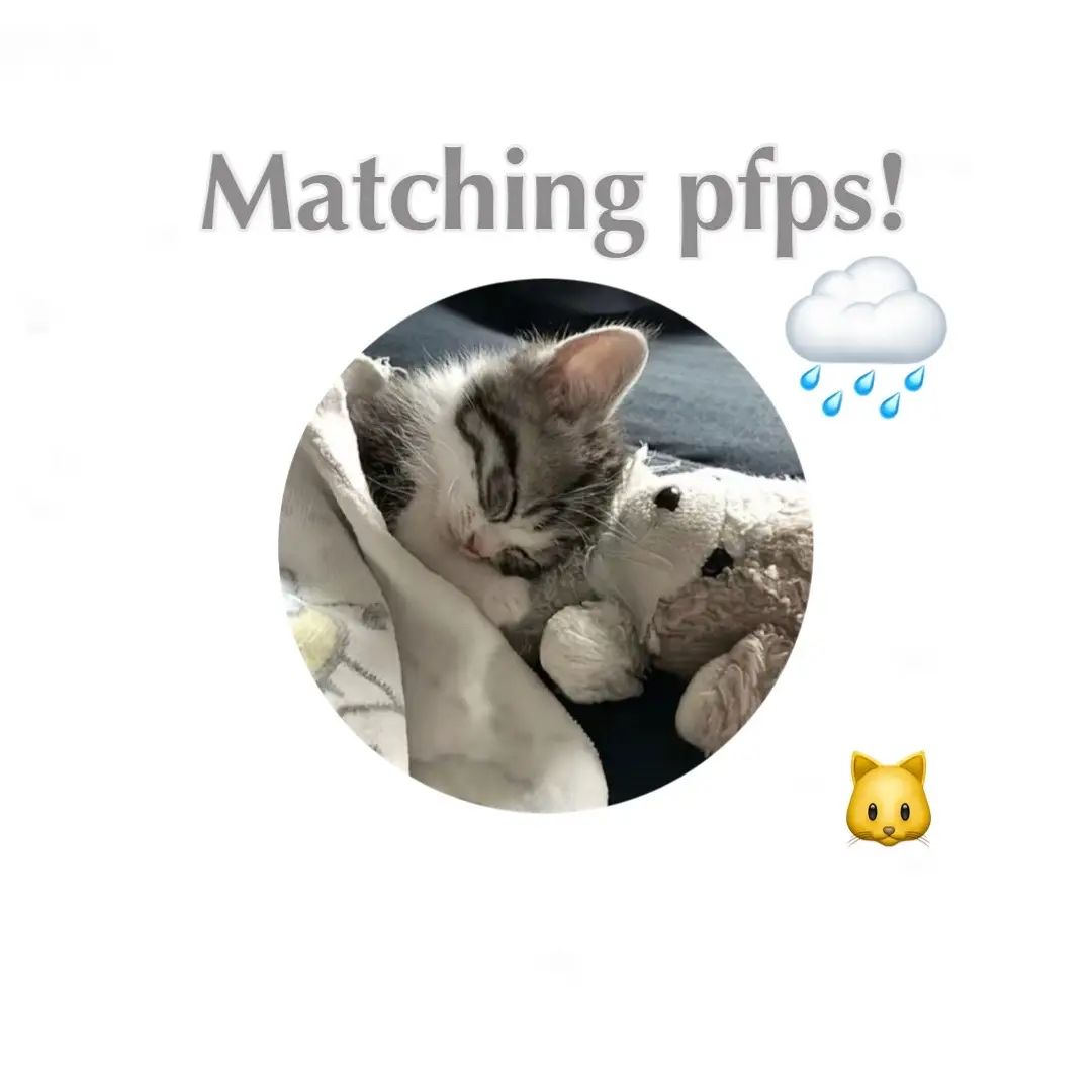 Matching pfps for you 🌧️ All pfps are from Pinterest‼️ #fyp #matchingpfps #fypシ #pfps #blowthisup 