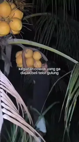 #mau telor gulung malah ngambil kelapa 