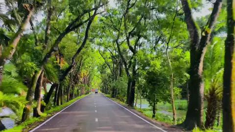 #viralvideo #unfrezzmyaccount #photography #photography #tiktok #cinematic 