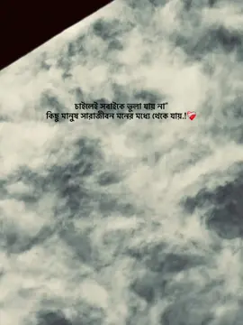 চাইলেই সবাইকে ভুলা যায় না