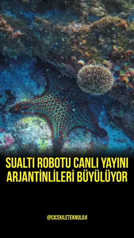 Sualtı robotu canlı yayını Arjantinlileri büyülüyor