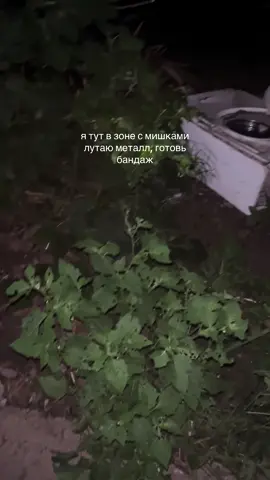 #99 #99ночейвлесу аптечки готовим