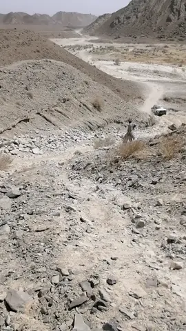 🌹🌹🌹🚗🚗🚗💪💪