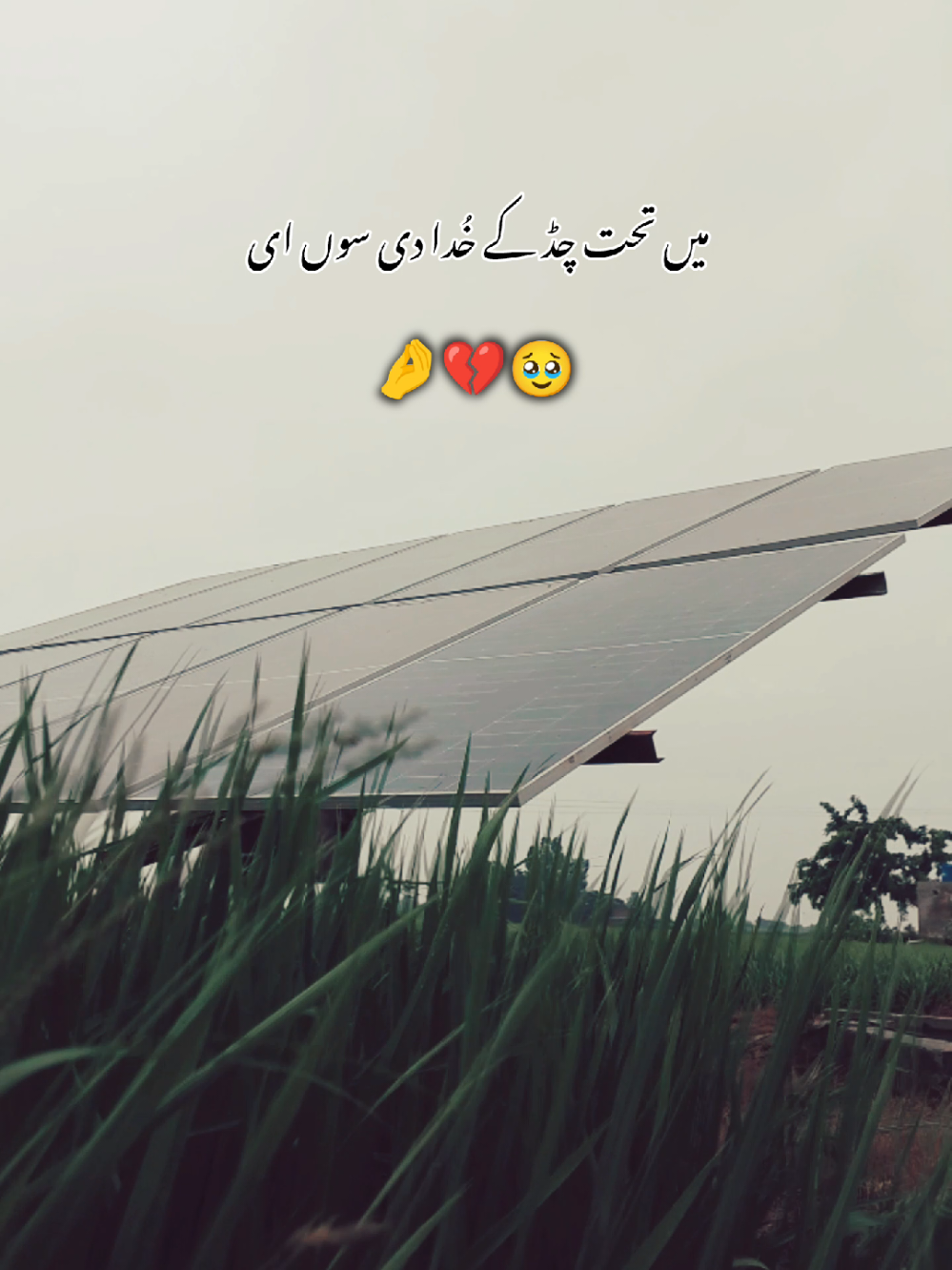 Hyeé....🥹❤️‍🩹#urdupoetry #brokenheart #statusvideo #whatsappstatus #poetrystatus 