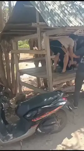 Bripda Alvian Maulana Sinaga akhirnya berhasil ditangkap. la telah ditetapkan sebagai tersangka pemb____han Putri Apriyani di Indramayu. Foto dan video detik-detik penangkapan Alvian Maulana Sinaga viral di medsos Sabtu (23/8/2025), dan banyak 11 rb dibagikan oleh masyarakat Indramayu, pelaku Pembrn:h Putri Apriyani Alvian ditangkap dari sebuah saung di wilayah Kecamatan Hu'u, Kabupaten Dompo, Nusa Tenggara Barat (NTB). #buser #polresindramayu #reskrimindramayu #elangbali  #poldajabar 