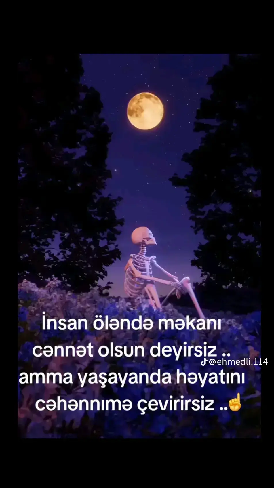 #birdünyadakeşfet🦅