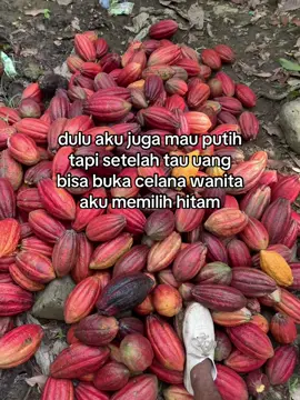 🤭🤭#petanimuda#kakao  