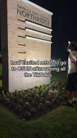#allbopsgotocsun 