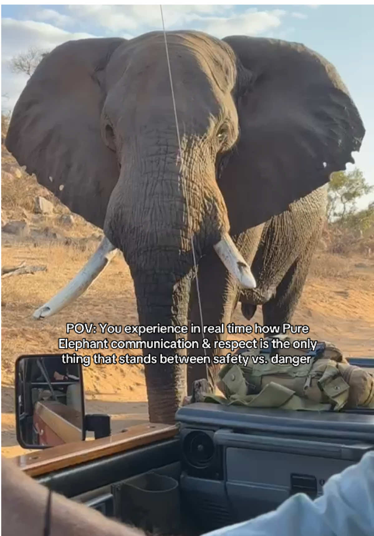 It was life and death for a second there 🥹 This Ellie was in Musth, full of testosterone and while we kept a far distance, he decided to make a bee line for us. Ellie’s during Musth can be unpredictable and so naturally, we all went into adrenaline mode. Thank Goodness for the amazing communication and understanding of our Guide Ian from @sashwariverofstars who communicated with respect and calm - this is the only thing keeping us between safety and danger.  This was during the Symbiosis wellness retreat that I hosted at the All vegan, conservation Sanctuary, Sashwa, River of Stars! 