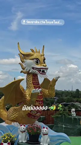 มังก่องงง 🐉🐲 #ฟีดดดシ #fypシ #วัดเขาดินสุพรรณบุรี #สุพรรณบุรี #เที่ยว 