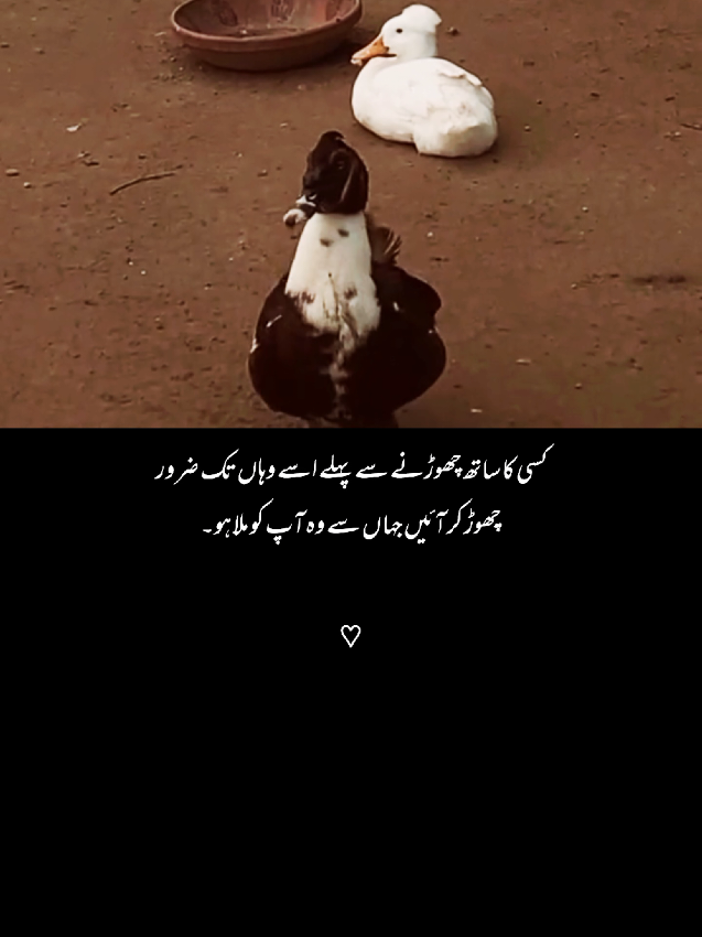 جن سے محبت کا دعوٰی ہوتا ہے نہ انہیں اتنی آسانی سے دنیا میں گم ہونے کے لیے نہیں چھوڑ دیا جاتا انہیں اپنے پاس رکھنے کے لیے آخری حد تک کوشش کرنی چاہیے __🩷🥺 #foryou #viewsproblem #foryoupage #explore #dontunderreviewmyvideo #unfreezemyaccount #viral #growmyaccount #laryebvibes 