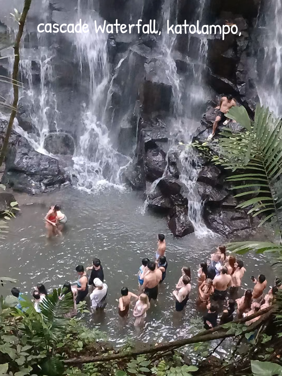 for anyone coming to Bali domestik or international tourists do not hesitate to contact me for memorable holiday in Bali  #dewaalitprivatetours  #fypviral  #fyp  #fyptiktok  #waterfall 