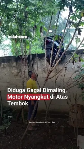 Sebuah kejadian konyol terjadi di Merandung, Lampung Timur, beberapa waktu lalu. Dalam video yang dibagikan oleh pengguna, terlihat sebuah motor tersangkut di atas tembok pembatas rumah warga. Warga yang berkerumun melihatnya dibuat terheran-heran. “Maling nya gagal, motor nyangkut di pager 🤣🤣🤣” tulis pengunggah video tersebut. Ya, diduga motor tersebut akan dibawa kabur oleh maling, sayangnya aksi tersebut gagal sehingga motor tersangkut di sana. Video tersebut menarik perhatian warga yang juga keheranan. Meski begitu tak sedikit yang mensyukuri motor tersebut selamat. “Ciuzzz kak. Innalillahi masih di selamatkan Allah,” ujar pengguna. “Wehhhh selamet motore” tambah yang lain.  “Wow.... malingnya nekat banget” komentar yang lainnya. - Selengkapnya kunjungi website dengan klik link di bio atau download aplikasi di AppStore dan Google Play Store. #InilahNews #MalingMotor #Curanmor #LampungTimur #Merandung   