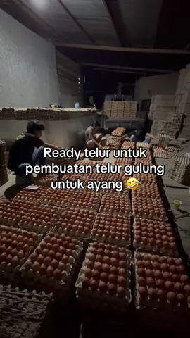 Maaci cayang 😭 Siap melayani untuk ayang-ayang di luar sana 🫶🏻 #telur #bisnis #pengusaha #cahayasidrap #masyaallahtabarakkallah 