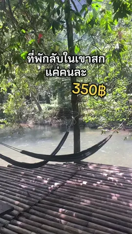 มาบอกต่อที่พักที่ไปมาแล้วประทับใจมากก ราคาถูก เป็นกันเอง อยู่ติดริมน้ำ บรรยากาศแบบชิวมากๆ ยุงเยอะนิดนึงแต่มียากันยุงให้ กลางคืนเงียบมากหลับสบาย ไปนอนชิลๆสักคืนก็ได้ ใครไปเขาสกแวะไปพักได้เลย 🥹🫶🏻✨ 📍Khaosok Mysterious Restaurant and Camp ร้านลึกลับริมคลอง  #khaosok #khaosoknationalpark #สุราษฎร์ธานี #เขาสก #ที่พักเขาสก 