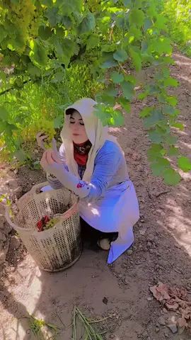 #❤️جنى❤️ 