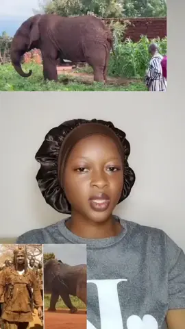 #mali #burinafaso🇧🇫🇧🇫🇧🇫 #côtedivoire🇨🇮 