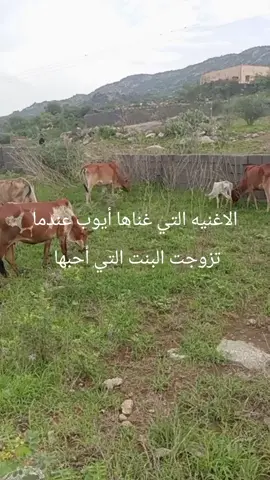 #يهز_صدري_حنينه