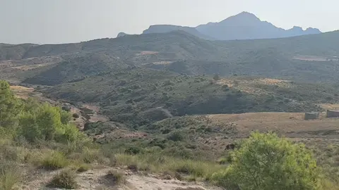 #ادغال_زغوان 👀🇹🇳