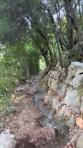 مشمش عكار لبنان  Mechmech Akkar Lebanon  #NorthLebanon #LebanonScenery #LebanonNature #LebanonValleys #GreenValley               