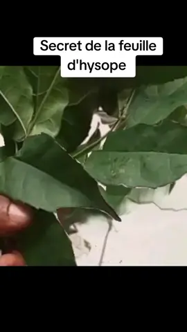 +229 91 14 47 70 
