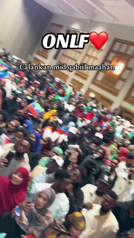 #fyp #somalitiktok #ogadenia #onlf💚💙❤️ @samiir_adan @ＭａｒｋＯｓ:( @Amisha @Ilkacase Qays @Daroodka.nool🦁🦅 