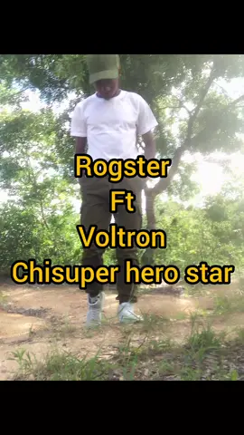 Rogster gt Voltron life yangu