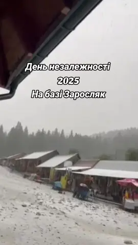 Ось така сьогодні погода в горах, падає сніг , база Заросляк біля Говерли . Ось чому так похолодало. Карпати як завжди- непередбачувані.  Сніг в Карпатах  гори Говерла Заросляк  літо день незалежності 2025 #рекомендации #гори #деньнезалежностіукраїни #снігопад #карпати 