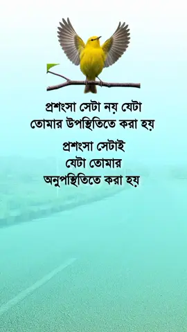 প্রশংসা সেটা নয় যেটা তোমার উপস্থিতিতে করা হয়