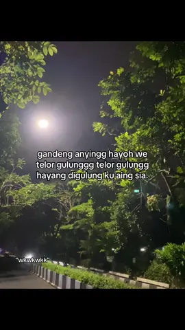#sietadeui 