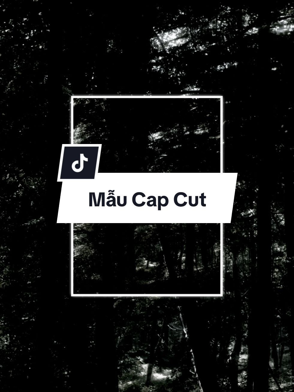 Một chút kia mùi hương...🗿#xuhuong #dinhkhanhmusic #capcutpioneer #pioneertemplate 