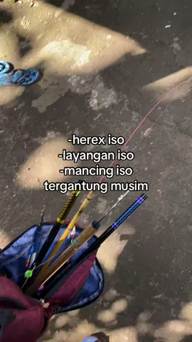 lanang kok😭🫴🏻#pegonlodoyo #gapangan #pegonblitar 
