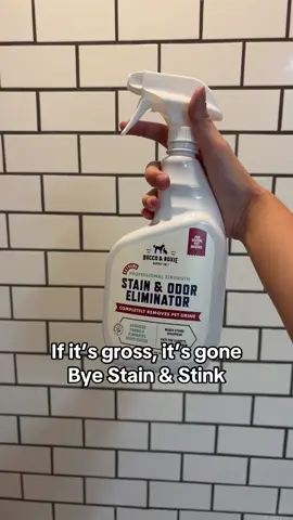 Rocco & Roxie 🐶🐾🦴Extreme Stain & Odor Eliminator #CleanTok #odorelimination #dogsmells #TiktokShopCreatorPicks 