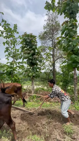 Yasari pthayko tudikhel lai maile Yaad x🤣🤣#tiktok #trending #funny #fyp 