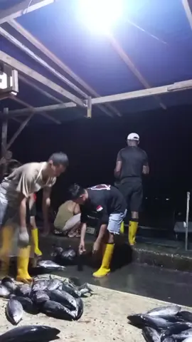 #tiktoklive #livehighlights 