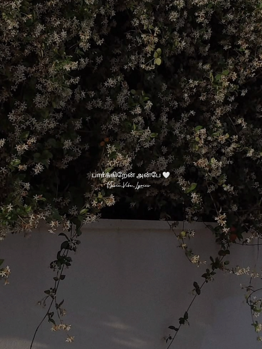 Un Vizhigalil 🤍✨ #unvizhigalil #tamilsong  #musicvibeslyrics #tiktok #18m 