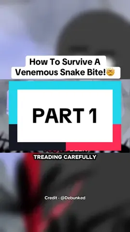 How To Survive A Venemous Snake Bite | Part 1 #informational #educational #survivaltips #snakebites #LifeAdvice 