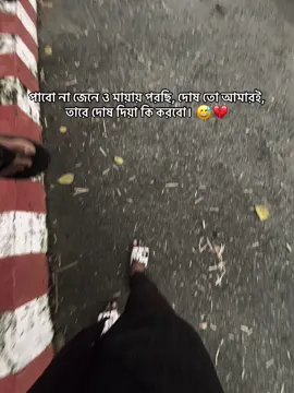 পাবো না জেনে ও মায়ায় পরছি, দোষ তো আমারই, তারে দোষ দিয়া কি করবো। 😅💔#foryou #viral @TikTok @TikTok Philippines 