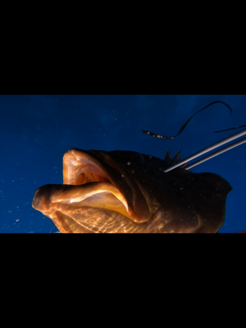 #XTDivingPro #XTLibya #عاشور_كمال #freediving #فريقXT @جمال الترهوني 
