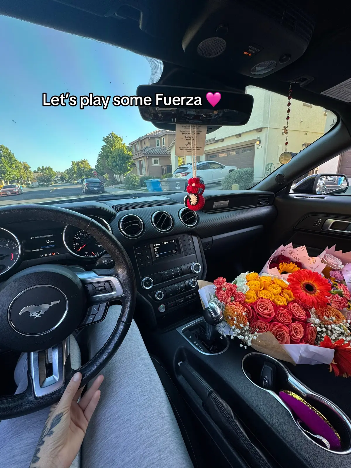😭😭😭😭 #foryou #paratiiiiiiiiiiiiiiiiiiiiiiiiiiiiiii #norcal #mustang #crowdkiler 
