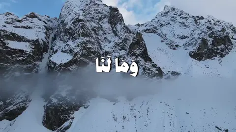 ﴿ وَمَا لَنَا أَلَّا نَتَوَكَّلَ عَلَى اللَّهِ وَقَدْ هَدَانَا سُبُلَنَا ۚ وَلَنَصْبِرَنَّ عَلَىٰ مَا آذَيْتُمُونَا ۚ وَعَلَى اللَّهِ فَلْيَتَوَكَّلِ الْمُتَوَكِّلُونَ﴾#تلاوة_خاشعة #quran #قرآن_کریم #المنشاوي #محمد_صديق_المنشاوي 