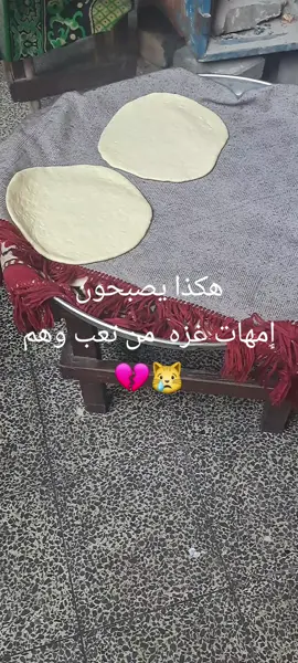 لكن صامدين في الشمال غزه #اعمل متابعه 🩵