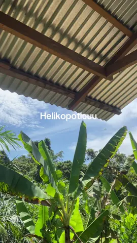 Ikona baru botul😭🤣🤣🗿 #helicopter #fyppppppppppppppppppppppp 