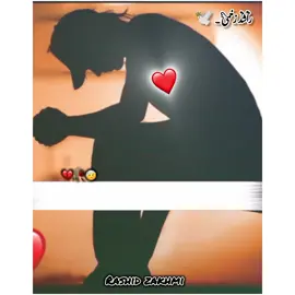 2 yar 🤕🥀 #goviral #growmyaccount #viral #foryou #rashidzakhmi✌️ @(•خـودار آرائیں