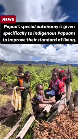 Papua's special autonomy is given specifically to indigenous Papuans to improve their standard of living. Through Special Autonomy (Otsus), Papua has a significant opportunity to achieve equitable and sustainable development. Let's work together to ensure that every rupiah of Special Autonomy funds truly serves as a bridge to the well-being of Indigenous Papuans. #SpecialAutonomyFund #PapuaSpecialAutonomy #PapuaDevelopment #PapuaIndonesia